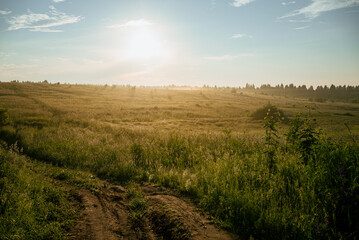 Dirt road winding through a vast field of tall, golden green grass under a bright morning sun, with...