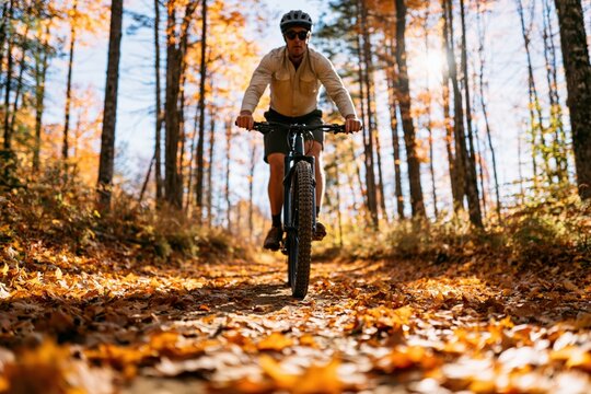 Cyclist biking on a mountain forest trail during a sunny autumn fall nature day