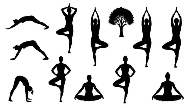 set of silhouette yoga poses and tree icon, meditation, flexibility, health, balance, fitness motion graphic