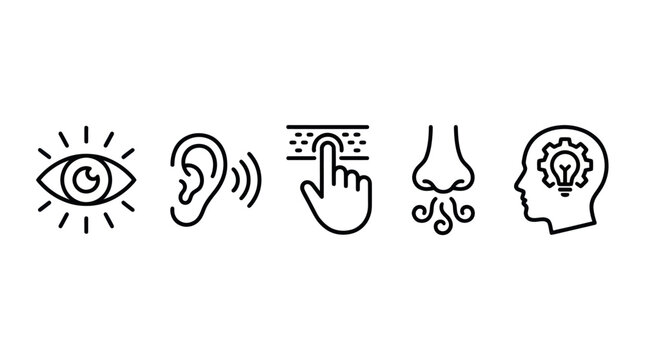 Five human senses thin line icon set.