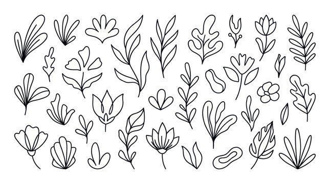 Hand drawn botanical leaf icons