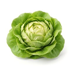 Obraz premium 3D icon of fresh green lettuce head with vegetable nutrition vegetarian culinary ingredient illustration