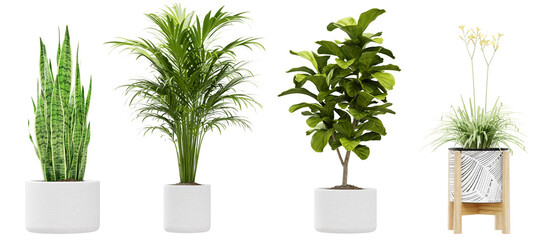 Collection of modern potted houseplants for interior design decoration isolated on transparent background 3d rendering png © Natural Form Studio