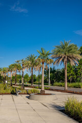 Fototapeta premium commercial landscaping