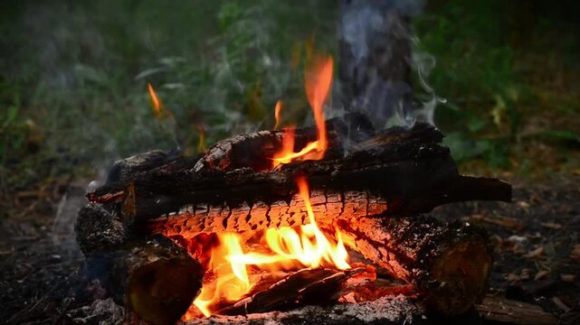 Low angle shot of campfire burning on forest ground seamless loop video background with authentic crackling wood fire audio sound and wild birds singing for lofi streams, sleep, relaxation.