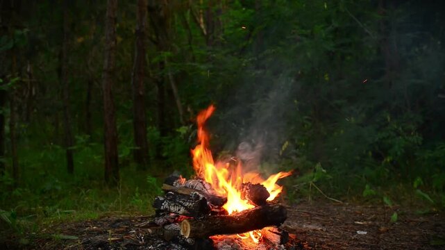 Vibrant campfire flames burning against green forest trees seamless loop video background with authentic crackling wood fire audio and birds singing for lofi music, sleep screensaver, ASMR.