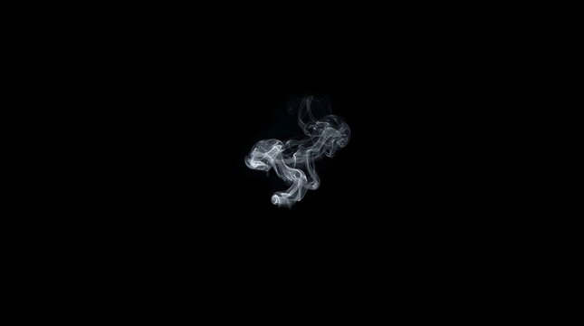 Abstract White Smoke Swirling on Black Background Ethereal Art