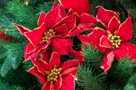Red artificial flowers hanging on christmas tree.