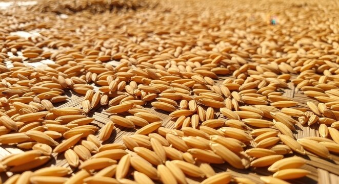 Close-up of sunflower seeds spread on a surface. Natural snack or ingredient display.