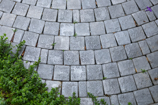 Top-down view of curved gray stone walkway with creeping green plants
