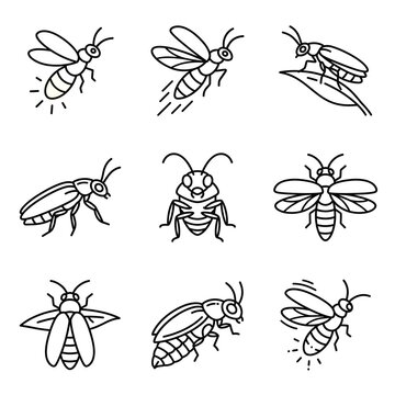 Set of simple line firefly icons