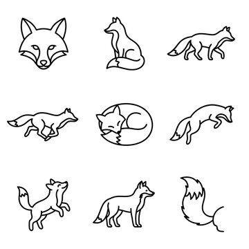 Set of simple fox line art icons in various poses