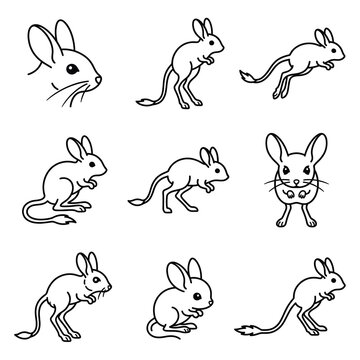 Set of cute jerboa animal sketches in black and white