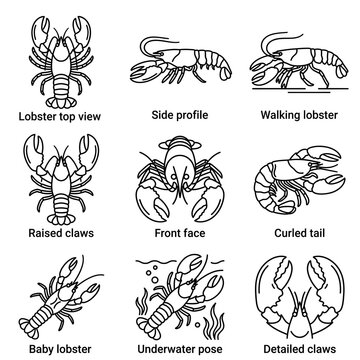 Set of lobster icons with various poses and views