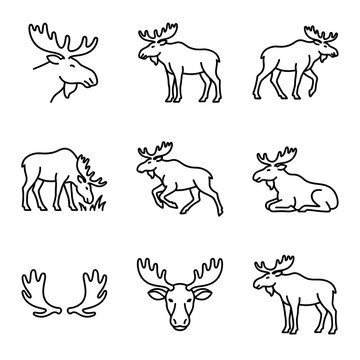 Set of moose icons in simple line art style