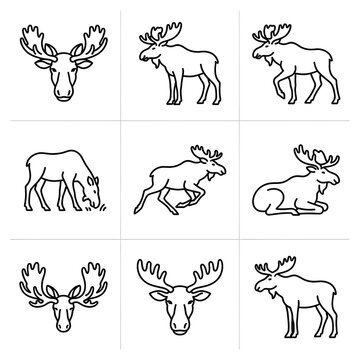 Set of simple moose icons in black line art style