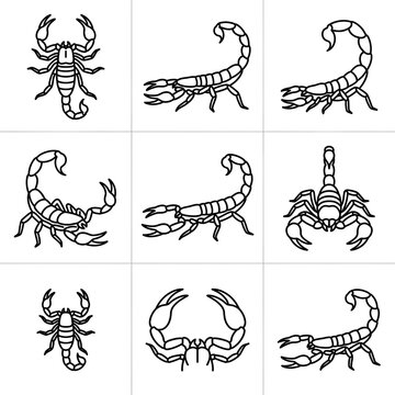 Set of black and white scorpion icons in various poses