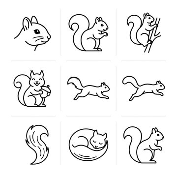 Set of cute squirrel icons in simple line art style