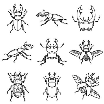 Set of stag beetle line art icons in various poses