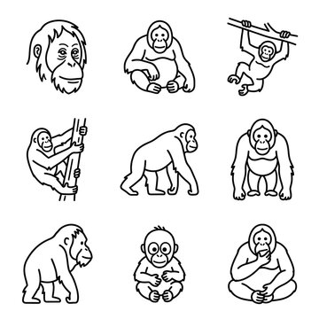 Set of cute orangutan monkey icons in black line art style