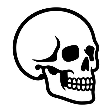 Black and white skull icon