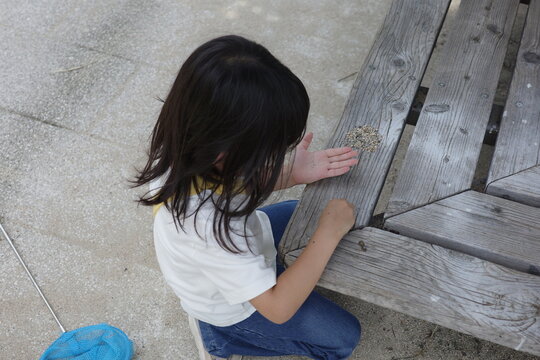 High angle view of a little girl crouching by a wooden table playing with small pebbles and a bug net nearby