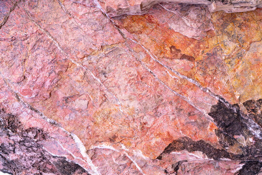 Close up of petrified wood texture featuring fossilized mineral patterns in pink, orange and purple tones. Ancient geological formations, natural abstract surface and prehistoric earth history.
