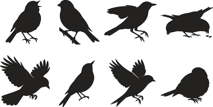 Set of black silhouettes featuring various small birds in flight, perching, and singing poses