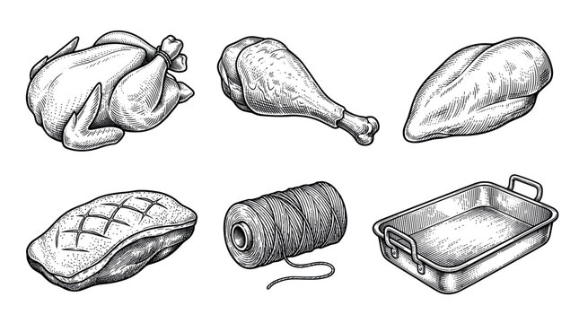 Raw poultry cuts and roasting tools vector illustration set in vintage engraving style