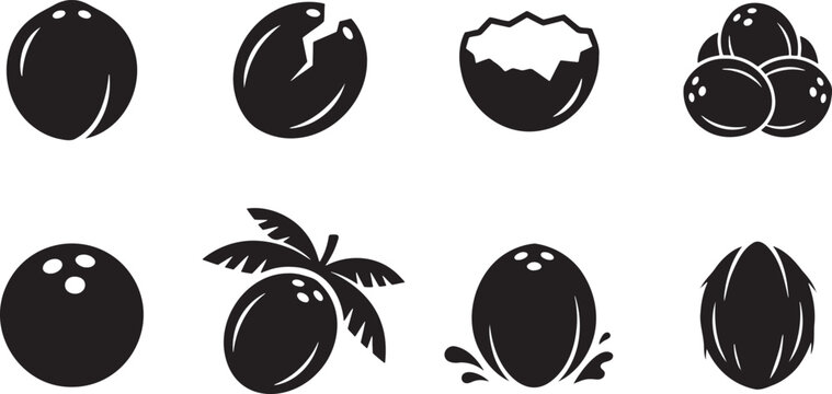 Coconuts fruit elements whole shells clusters and palm fronds