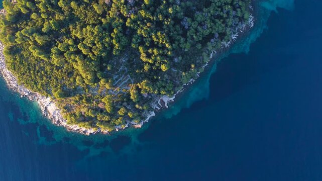 Aerial top down view of croatian forest shore