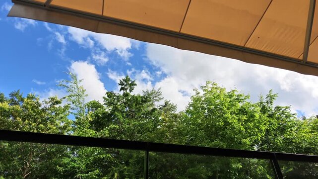Canopy shades sunlit scene above verdant treetops. Clouds drift lazily across a vivid blue sky. Glass barrier frames tranquil garden view. Perfect for outdoor cafe or patio ambiance
