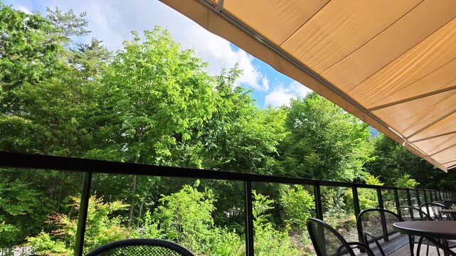 Canopy shade offers quiet comfort on balcony edge. Green trees stretch beyond railings, soft and dense. Dark tables and chairs sit still, waiting for guests. Sunlight breaks through leaves