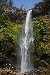 Lush tropical waterfall cascading down rocky cliff surrounded by green jungle vegetation, Indonesia © Danisya