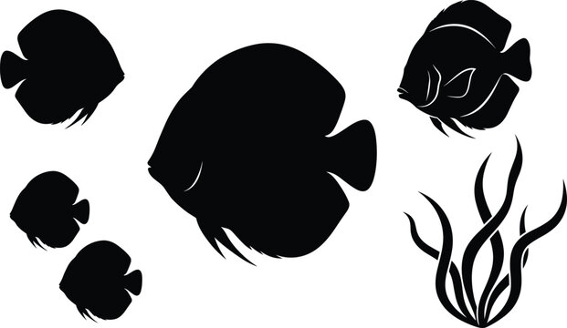 Discus Fish Aquarium Silhouette Icons Set with Underwater Seaweed Plants for Vector Designs