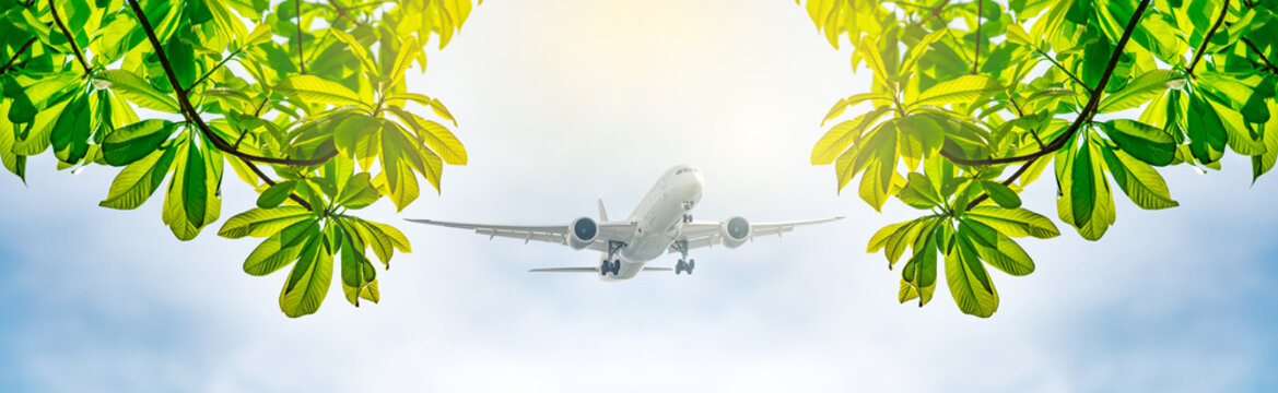 Airplane flying on blue sky. Sustainable aviation. Green airliner. Eco-friendly flight. Sustainable aviation fuel. Sustainable transportation. Aviation sustainability. Sustainable air travel future.