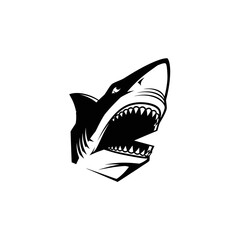 Fototapeta premium Aggressive Shark Head with Open Mouth and Sharp Teeth, Black and White Illustration