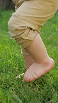Closeup of a small baby's legs and feet making first steps on a lush green lawn on a sunny day. Happy childhood memories and learning to walk concept, enjoying nature and outdoor activity