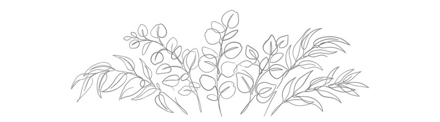 Minimalist line art illustration of eucalyptus branches on white background. © Berang