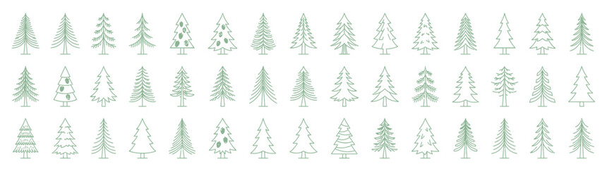 Fototapeta premium Collection of Hand-Drawn Evergreen Tree Illustrations