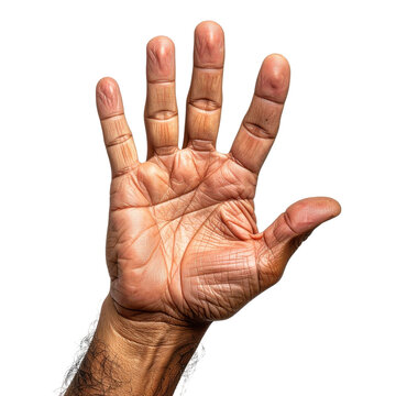 Open human palm with five spread fingers isolated white background