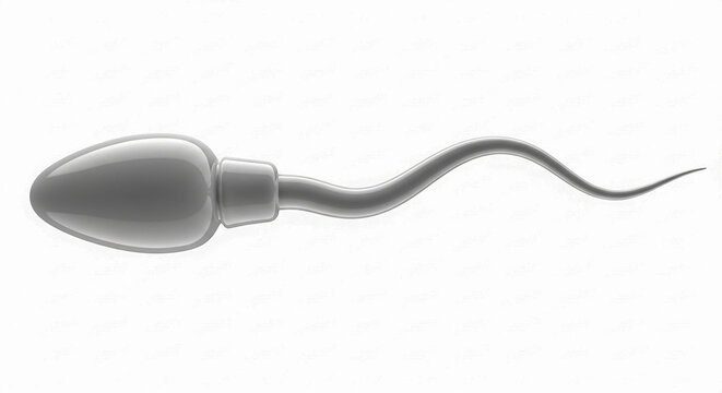 Sperm cell illustration on white background, microscopic human spermatozoon for medical education, reproductive health and fertility concept