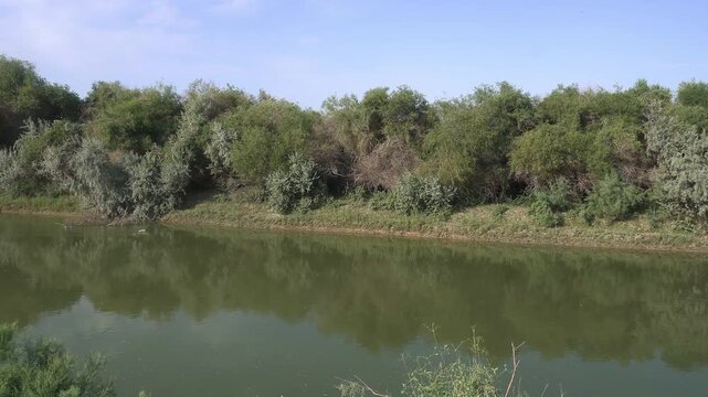 Water Canal with Tugai Forest on the Opposite Bank
