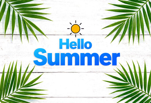 Bright and cheerful hello summer greeting with palm leaves and sun illustration design