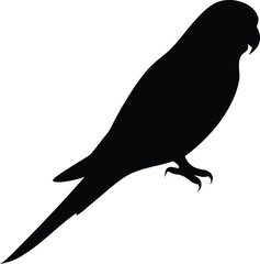 Fototapeta premium vector illustration of a bird