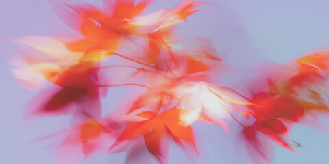 Obraz premium 紅葉, 秋, もみじ, 楓, 抽象, アート, アブストラクト, 背景, 壁紙, 日本, 和, 秋の風景, 秋色, 紅葉狩り, 紅葉シーズン, 赤, オレンジ, 落ち葉, 木の葉, 葉っぱ, ぼかし, ブラー, ソフトフォーカス, パステル, グラデーション, 淡い, 幻想的, 夢, ドリーミー, ロマンチック, 詩的, 芸術, ペイント, 水彩, 絵画風, 秋広告, ハロウィン, 十月, 十一月
