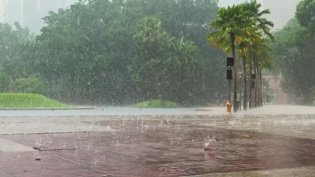 Flooded Tropical City Street with Heavy Rain slow motion splashing drops on the pavement and Palm Trees in the background