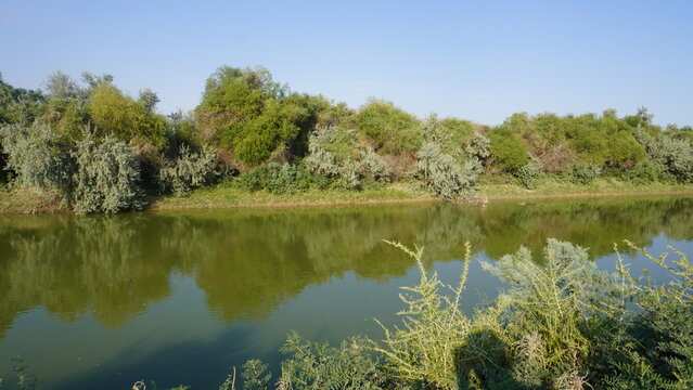 Water Canal with Tugai Forest on the Opposite Bank