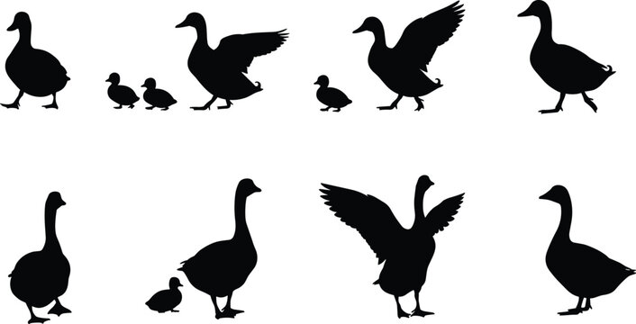 Goose Silhouette Bundle with Flying Adult Geese and Goslings Black Vector Collection Isolated on White Background