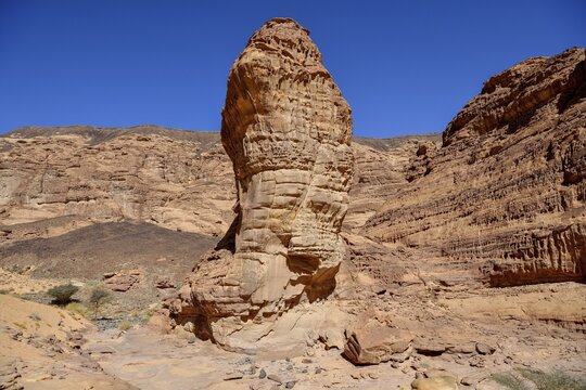 Landscape in Wadi Abu Oud, near AlUla, Medina Province, Saudi Arabia, Arabian Peninsula